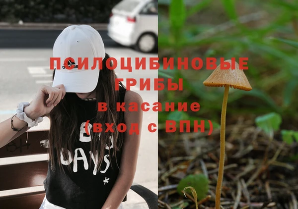 твердый Абаза