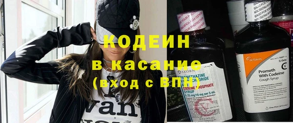 твердый Абаза